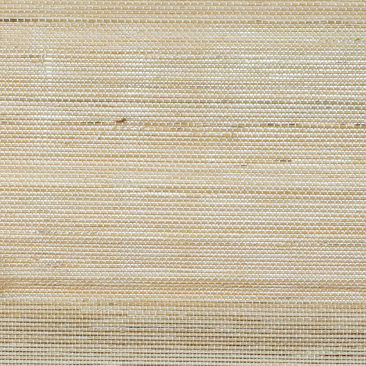 Earth Bamboo Shade - Beige